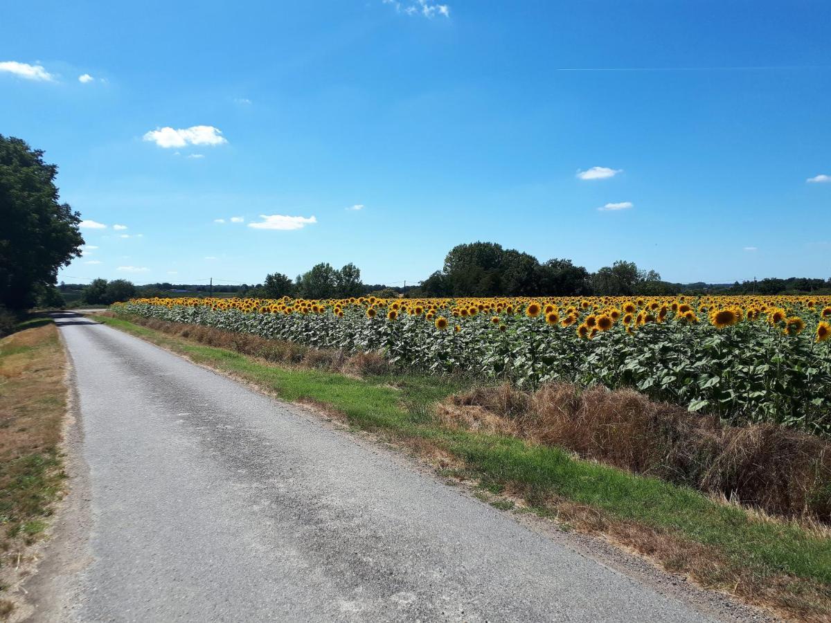 Les Bruyeres De Jeanne Et Rene Zoo De Beauval A 20Min,Chateaux Tout Inclus Fontguenand 外观 照片