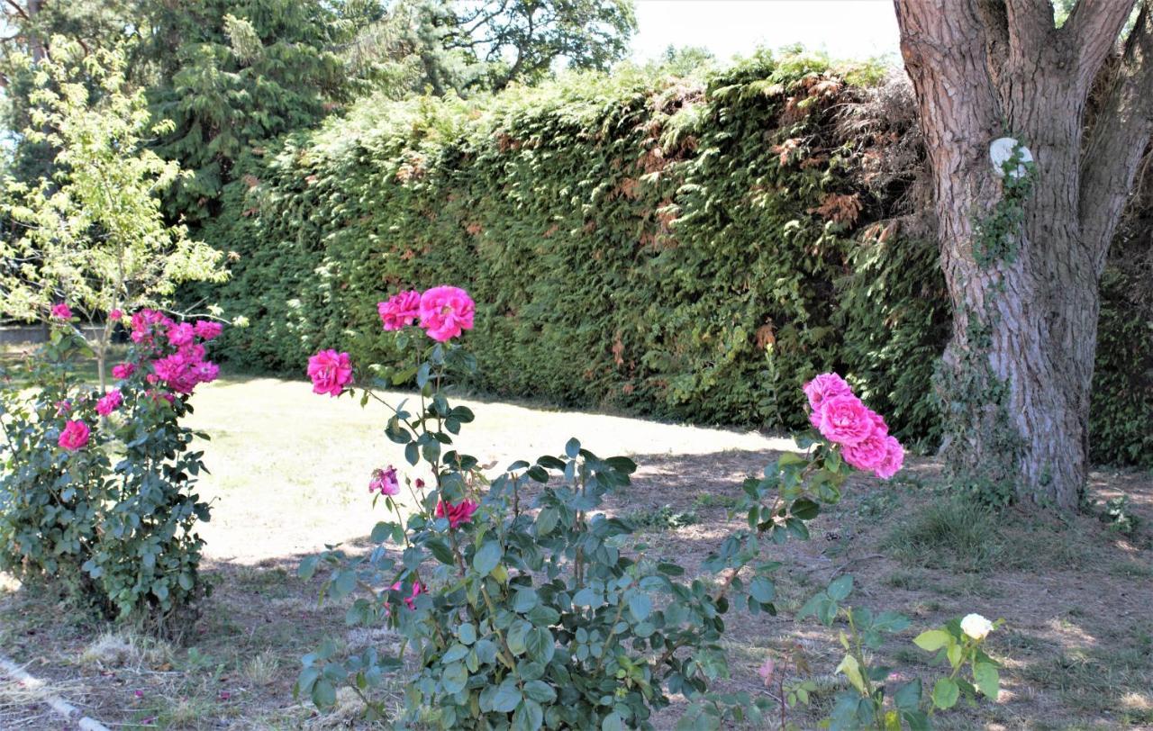 Les Bruyeres De Jeanne Et Rene Zoo De Beauval A 20Min,Chateaux Tout Inclus Fontguenand 外观 照片