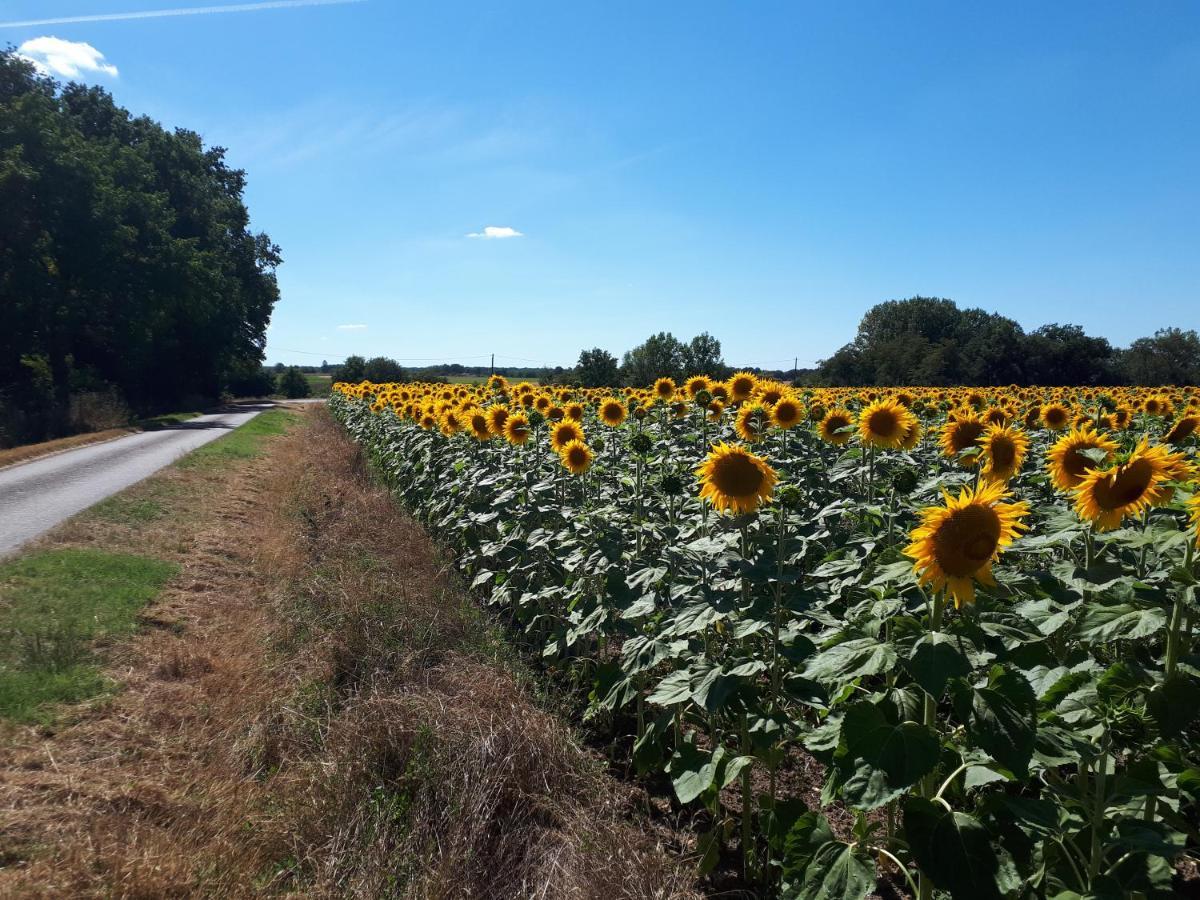 Les Bruyeres De Jeanne Et Rene Zoo De Beauval A 20Min,Chateaux Tout Inclus Fontguenand 外观 照片